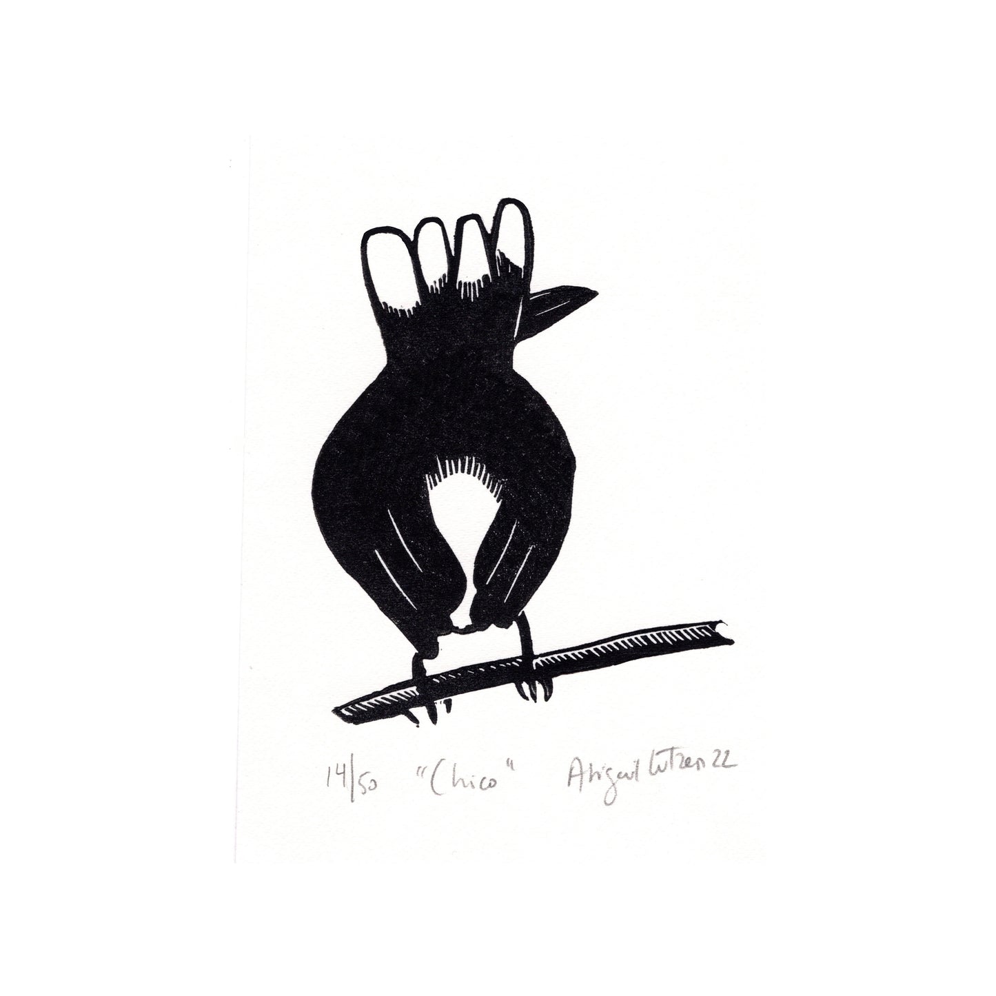 Chico - Limited Edition Handprinted Linocut