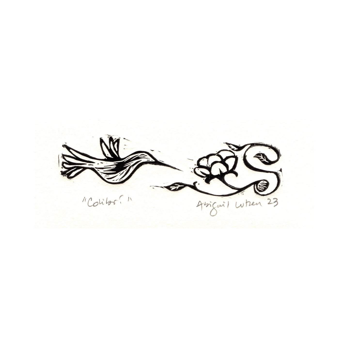 Colibri
