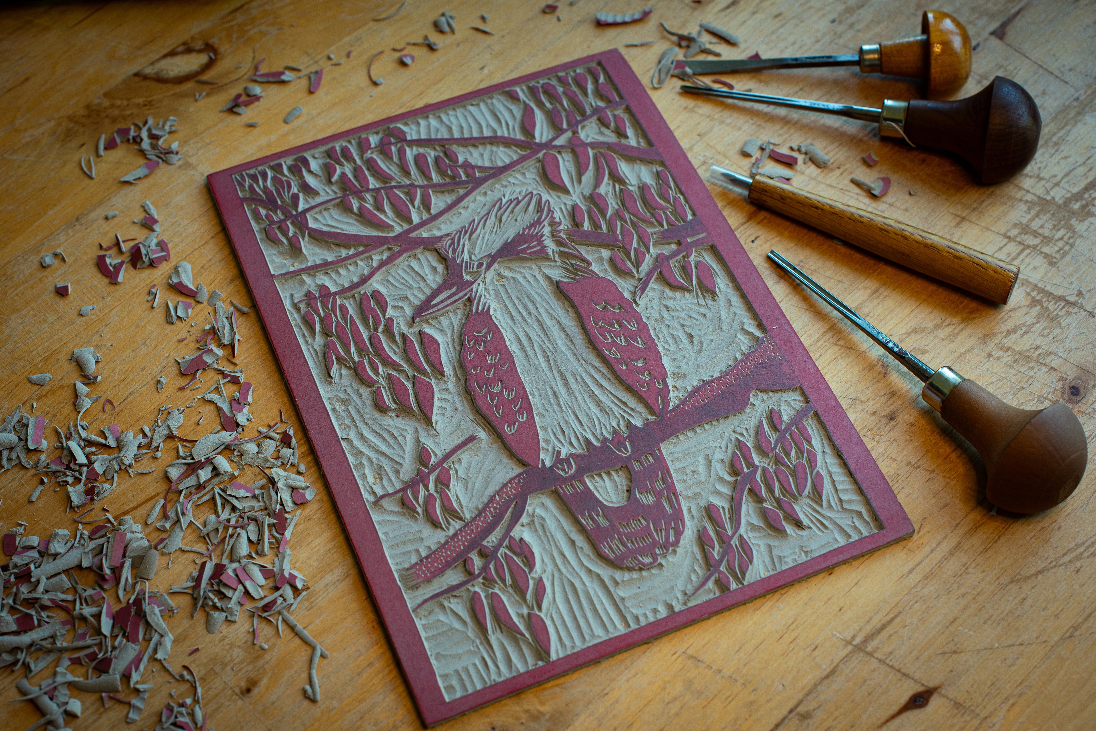 The linoleum block of kookaburra print.