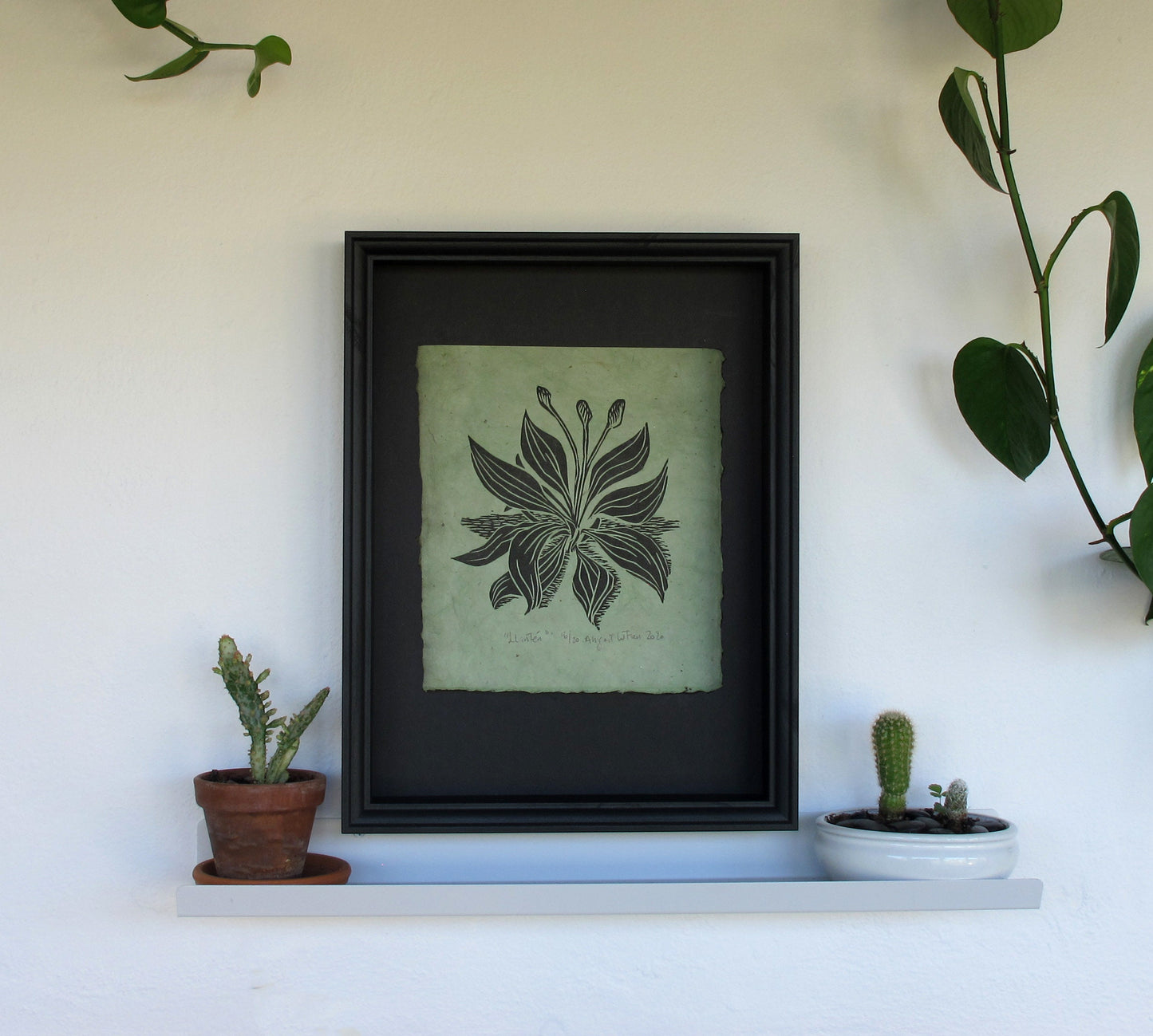 Nature Print, Linocut print, Plant Print, Original Work, Handmade Print, Gift, Black and White, Colour, Limited Edition, Signed.