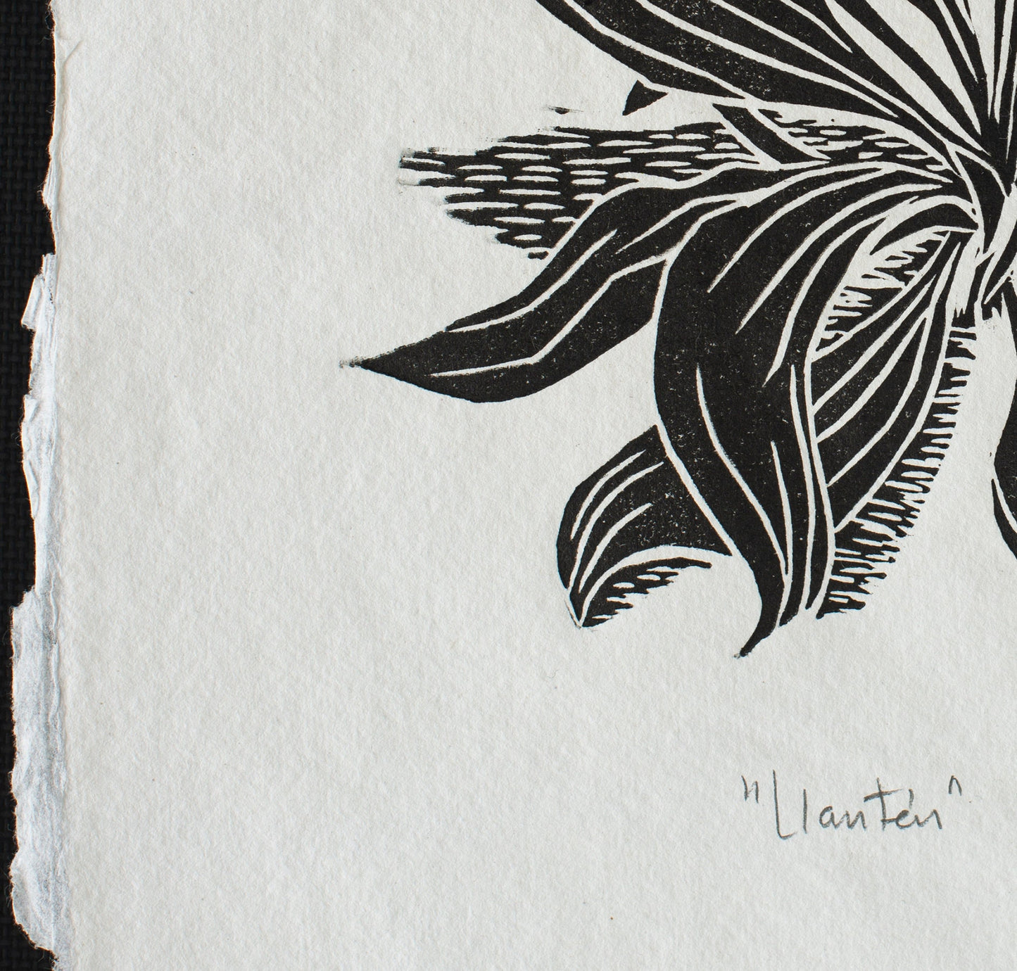 Nature Print, Linocut print, Plant Print, Original Work, Handmade Print, Gift, Black and White, Colour, Limited Edition, Signed.