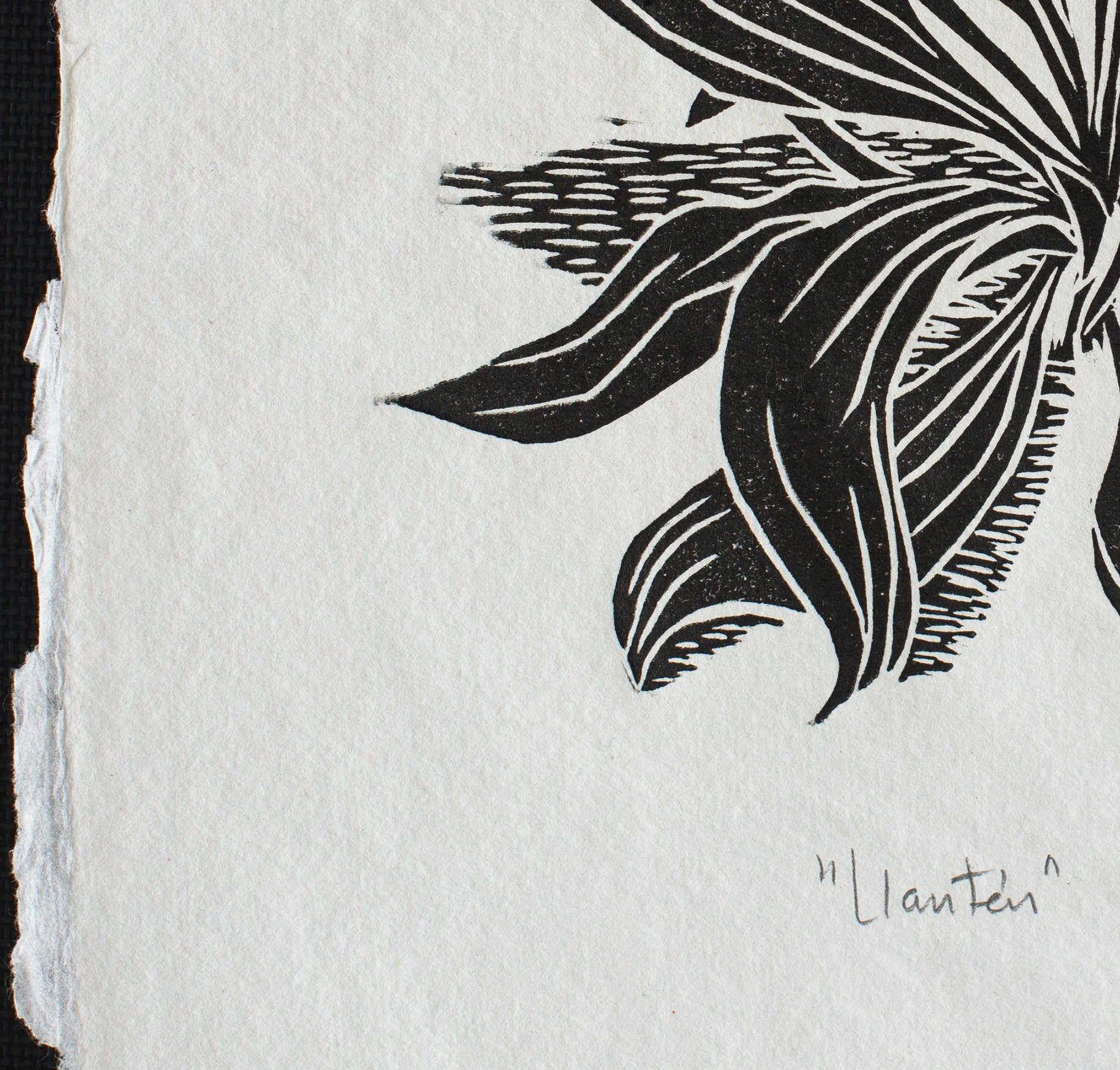 Nature Print, Linocut print, Plant Print, Original Work, Handmade Print, Gift, Black and White, Colour, Limited Edition, Signed.